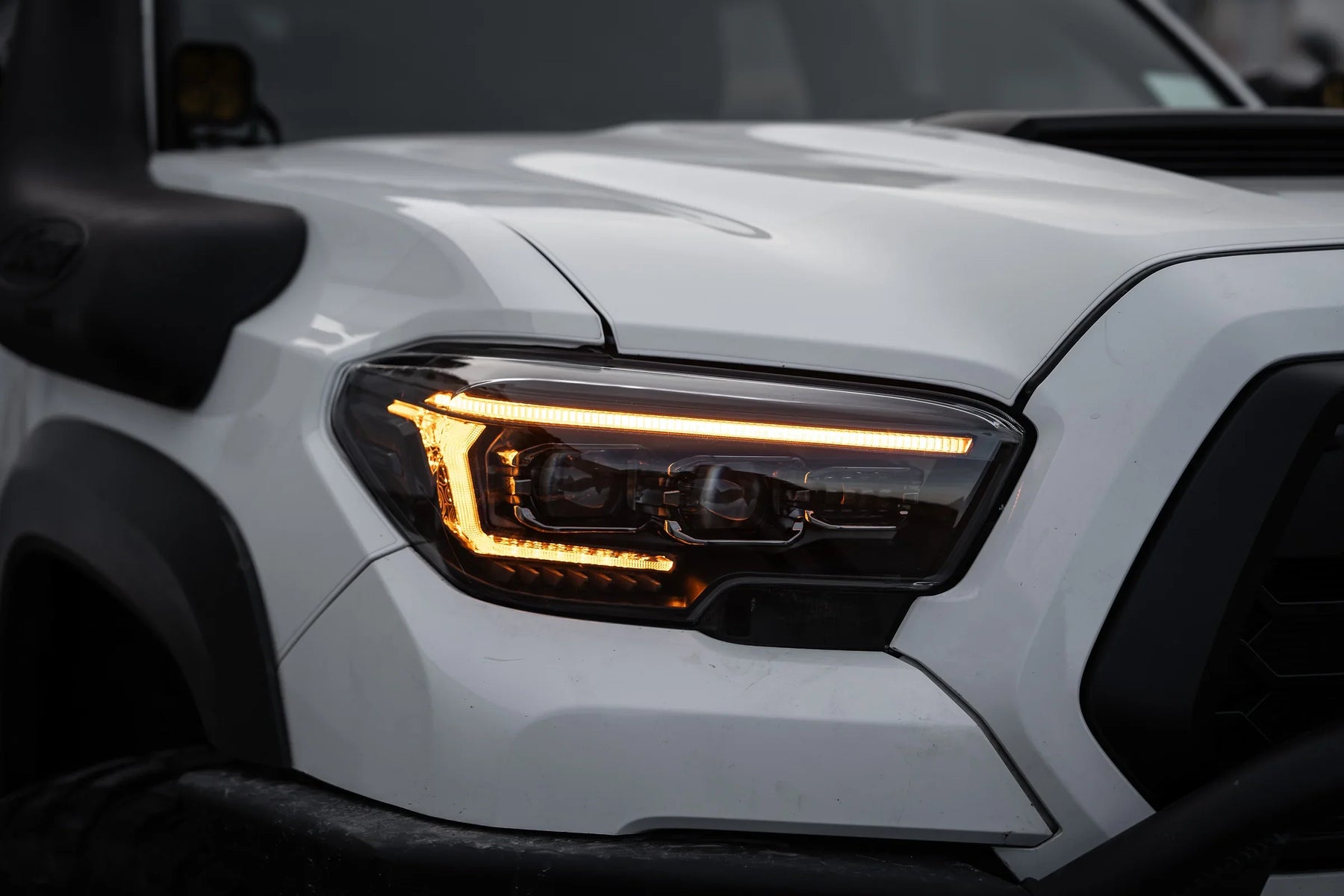 Morimoto XB EVO Headlights: The Ultimate Headlight Upgrade for Toyota Tacoma