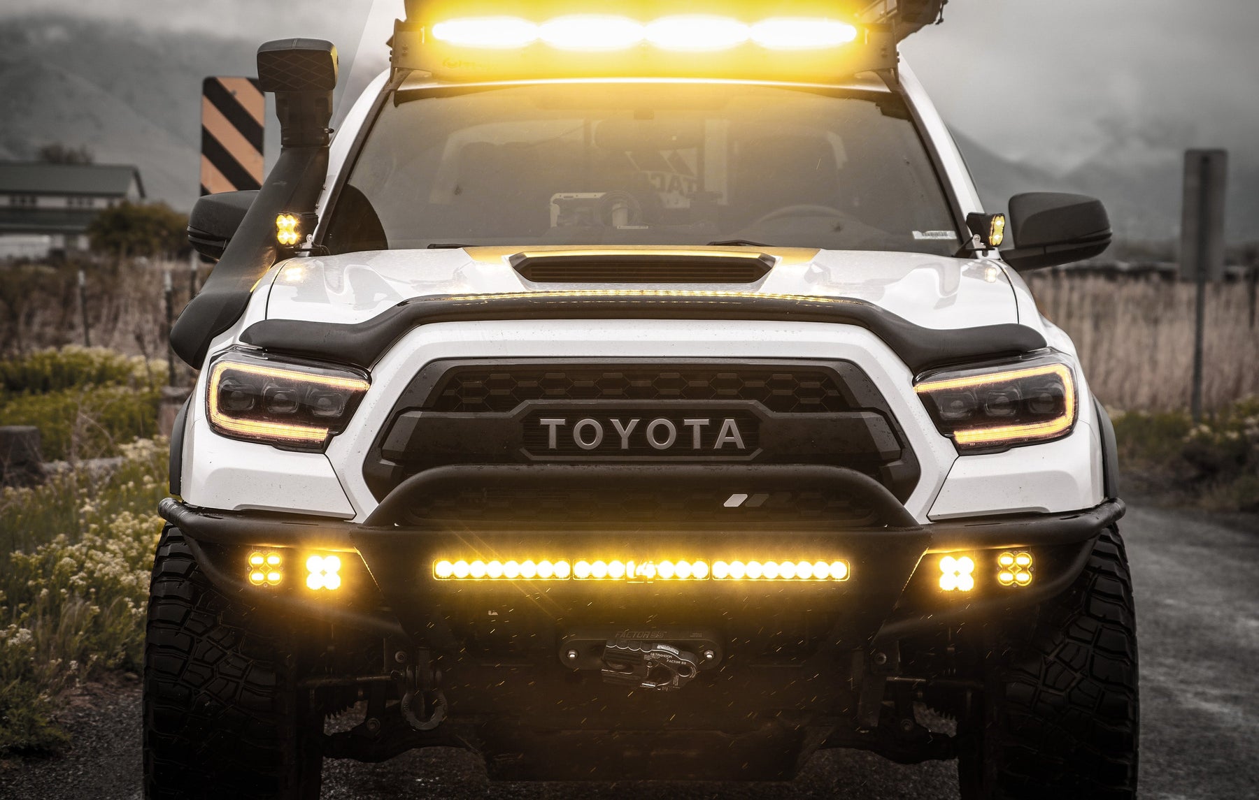 AVS Bugflector II Hood Shield for Tacoma: Protect Your Hood from Bugs, Chips, and Debris
