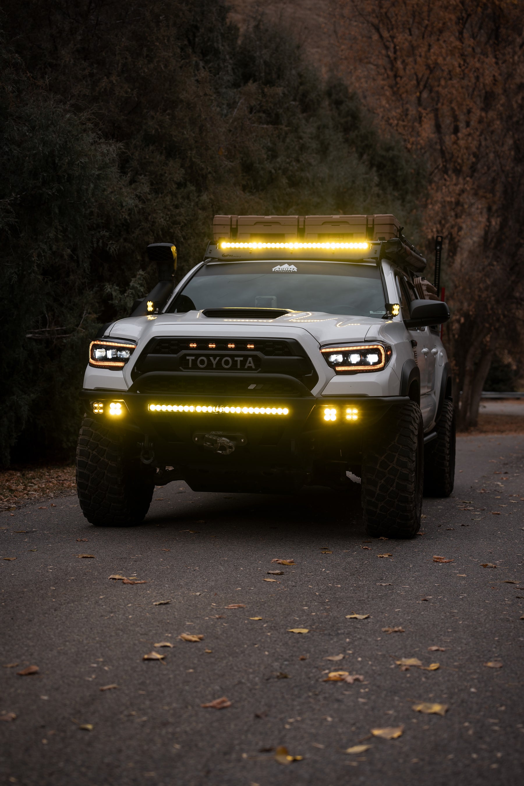 Whats Better for Your Tacoma Amber or Yellow?