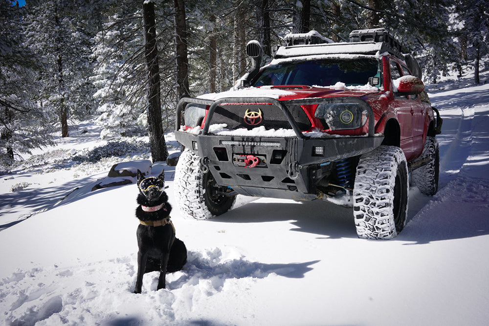 Total Chaos +2" Expedition Series Long Travel Kit W/Coilovers for Tacoma (2005-2015)