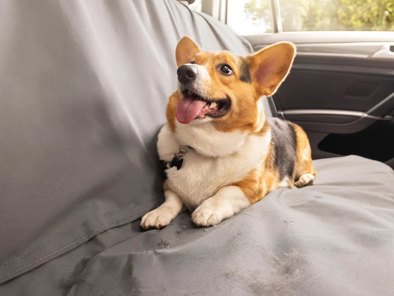 WeatherTech Seat Protector For Tacoma (2016-2023)