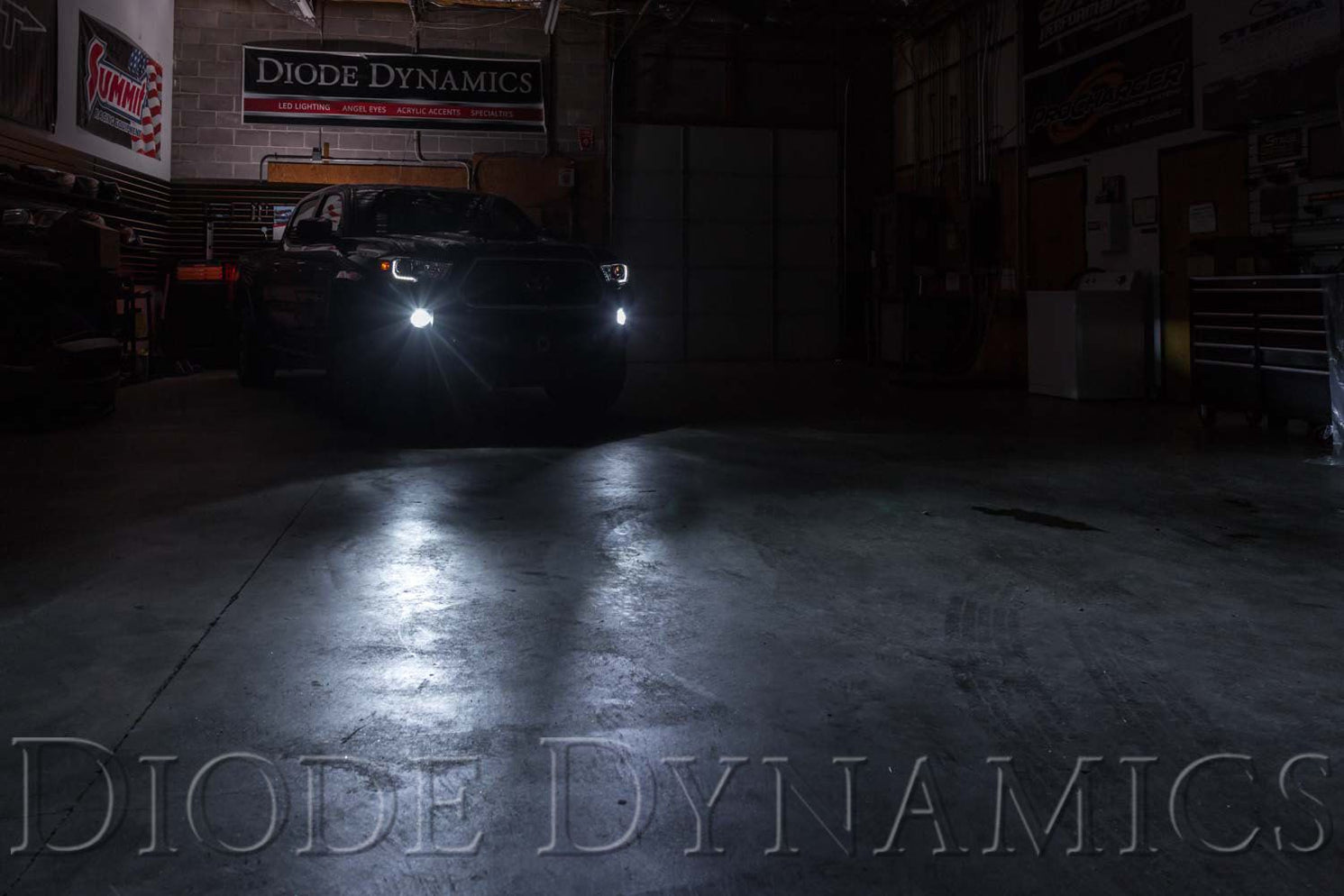 Diode Dynamics Fog Light Bulbs For (20162023) — Lifestyle