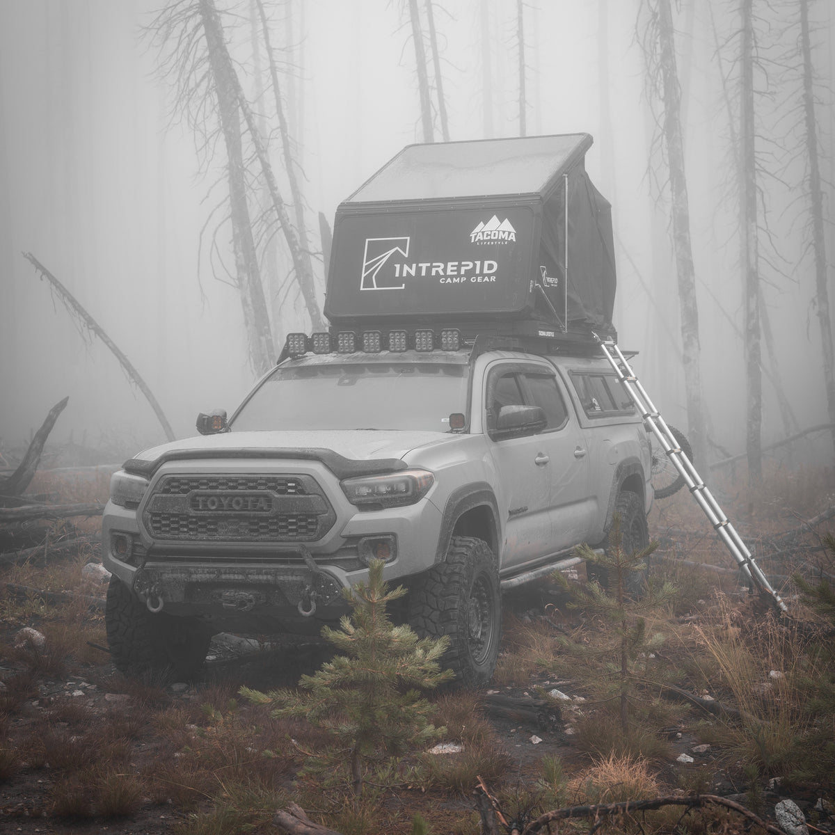 intrepid geo 2.5 dachzelt Intrepid Geo 2.5 Rooftop Tent — Tacoma Lifestyle