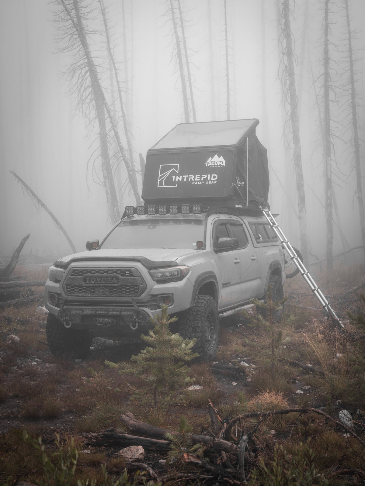intrepid roof tent Intrepid Geo 2.5 Rooftop Tent