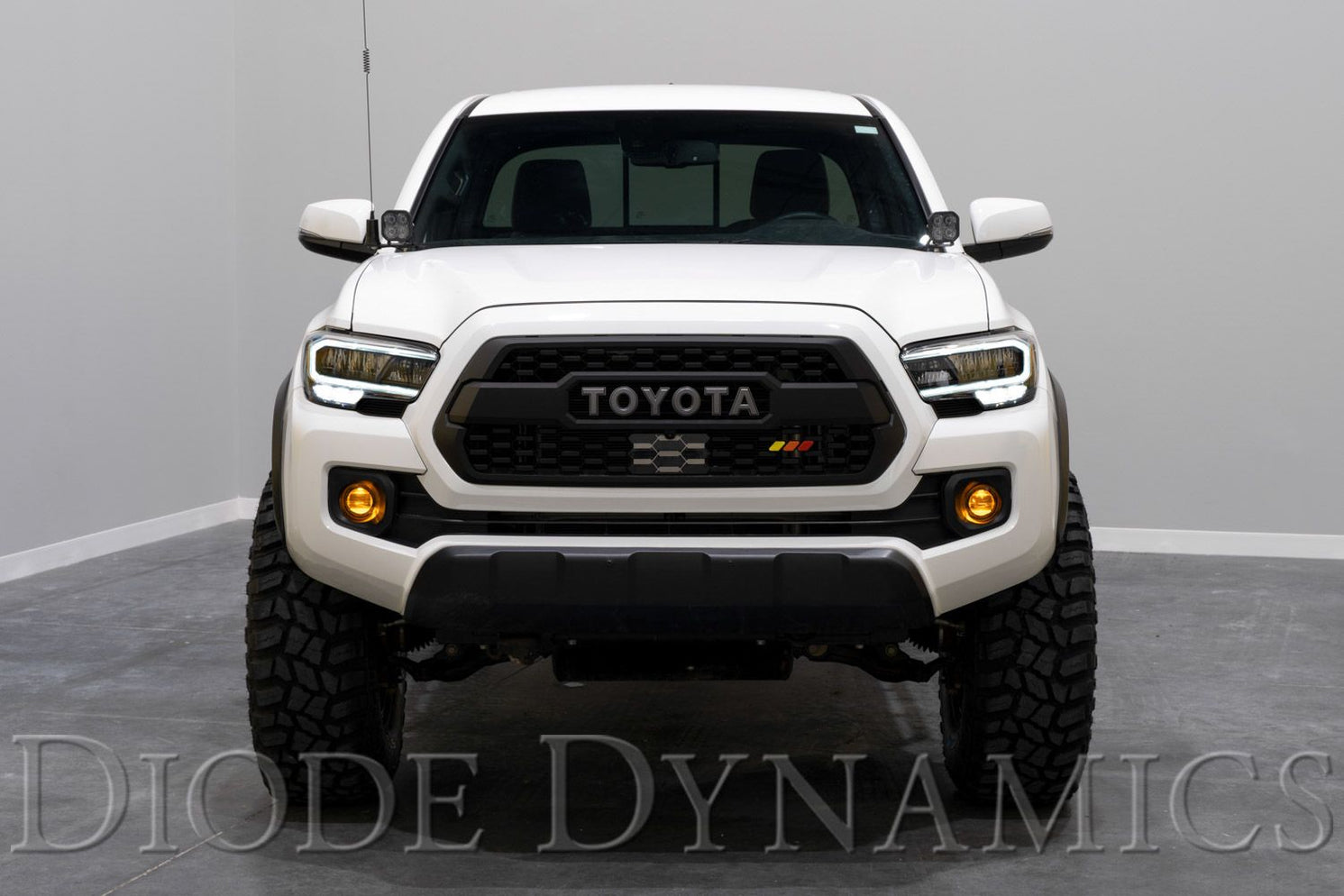 Diode Dynamics Elite Series Fog Lamps For (20122023) —
