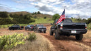 Truck Flag